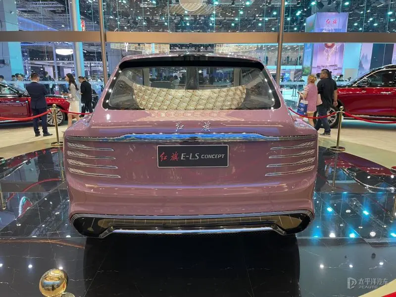 هونشي E-LS, شبكة السيارات الصينية