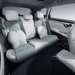 فويا فري REEV 2026