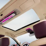 هونشي صن فلاور غويا 2026